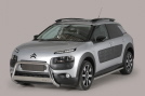 C4 Cactus Modell 2015